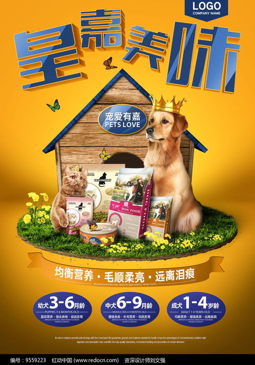 “食”刻關愛，科技賦能——寵物食品促銷與技術服務雙贏盛會